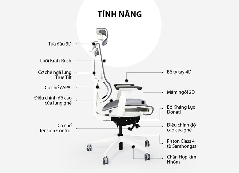 cấu tạo ghế công thái học hiện đại