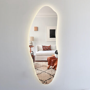 Gương soi toàn thân hình tự do – đèn led