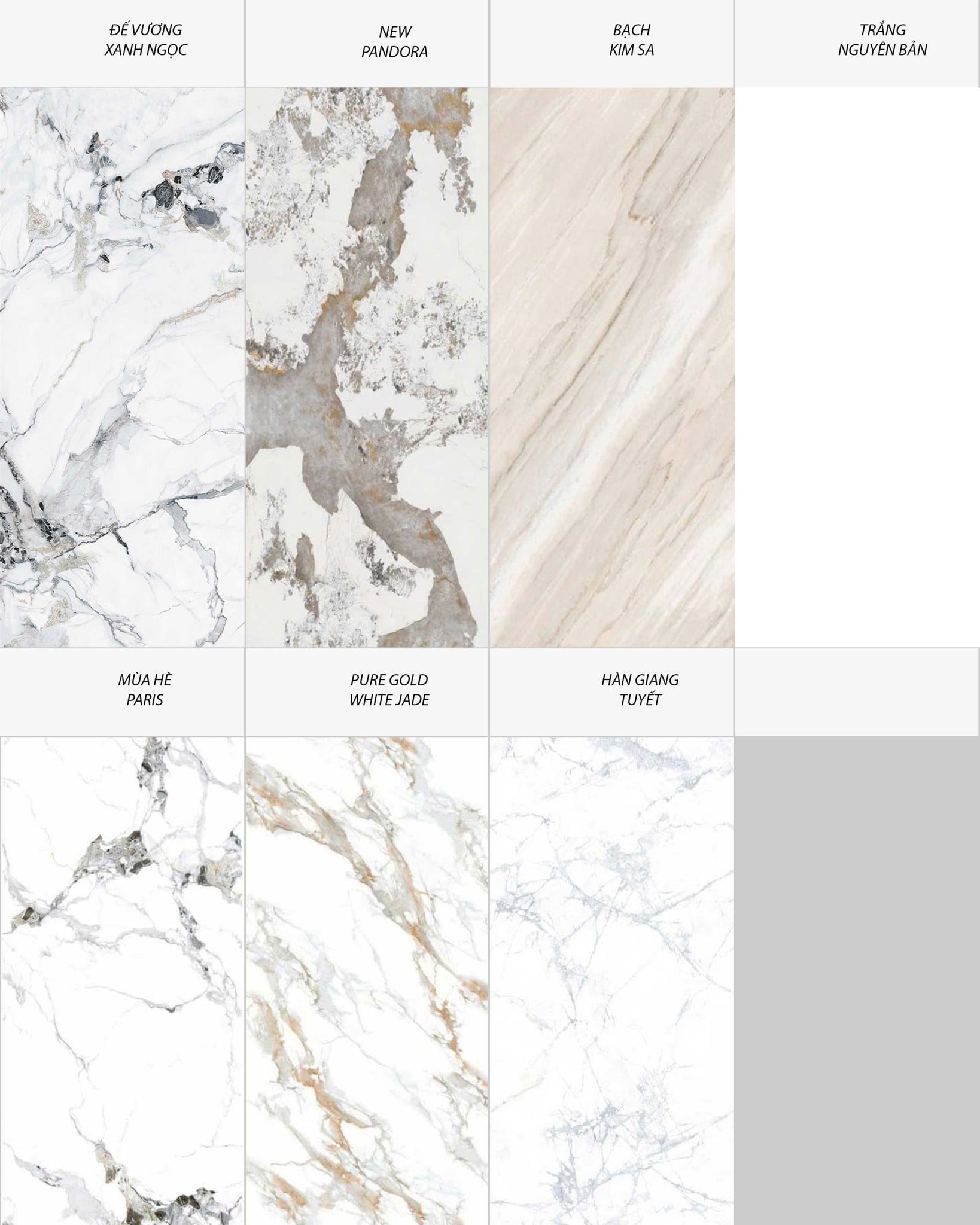 mat-da-ceramic-xdaily__2_-2